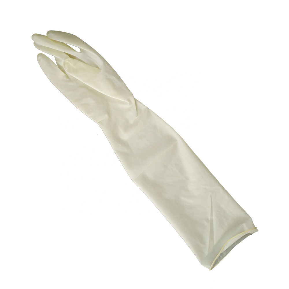 Sterilization Gynecological Latex Surgical Gloves